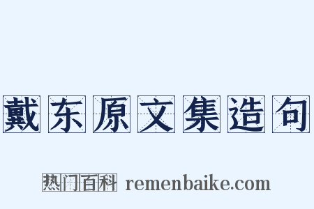 戴东原文集造句是什么意思的图片